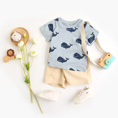 Baby Boys Clothing Sets