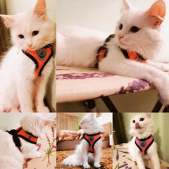 Cat Harness Vest with Leash