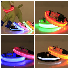 Night Light Dog Collar