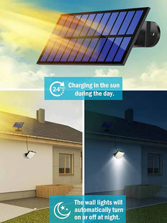 Outdoor Solar Light