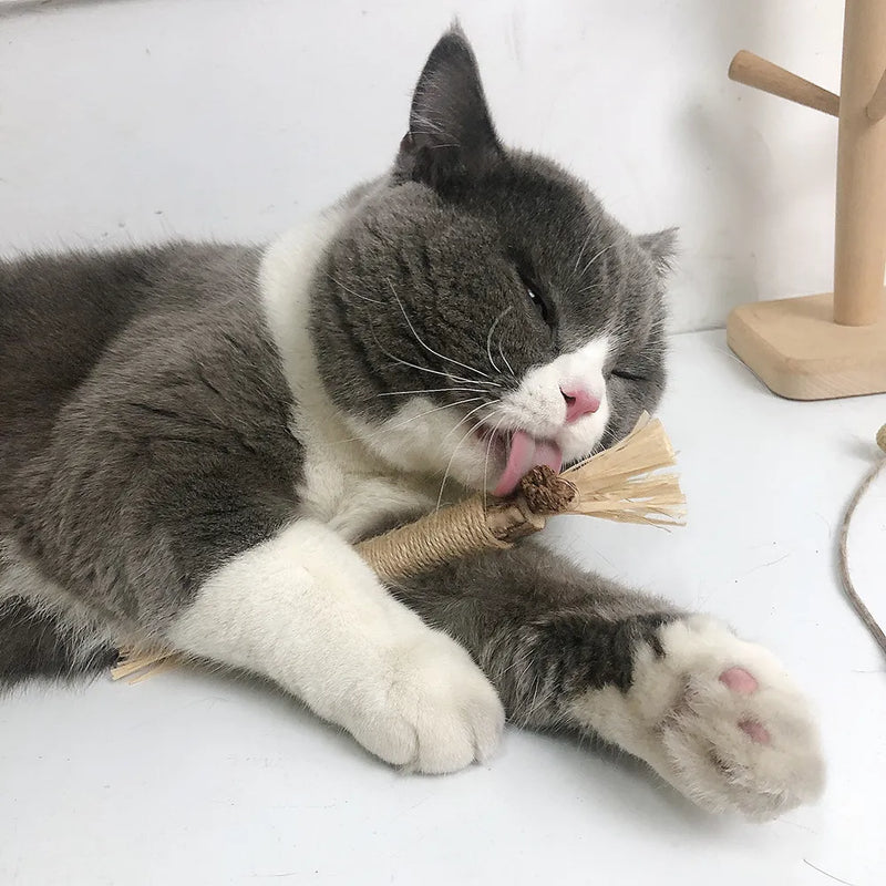 Catnip Tooth Cleaner Sticks