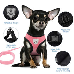 Cat Harness Vest with Leash