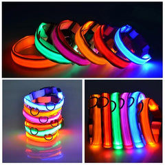 Night Light Dog Collar