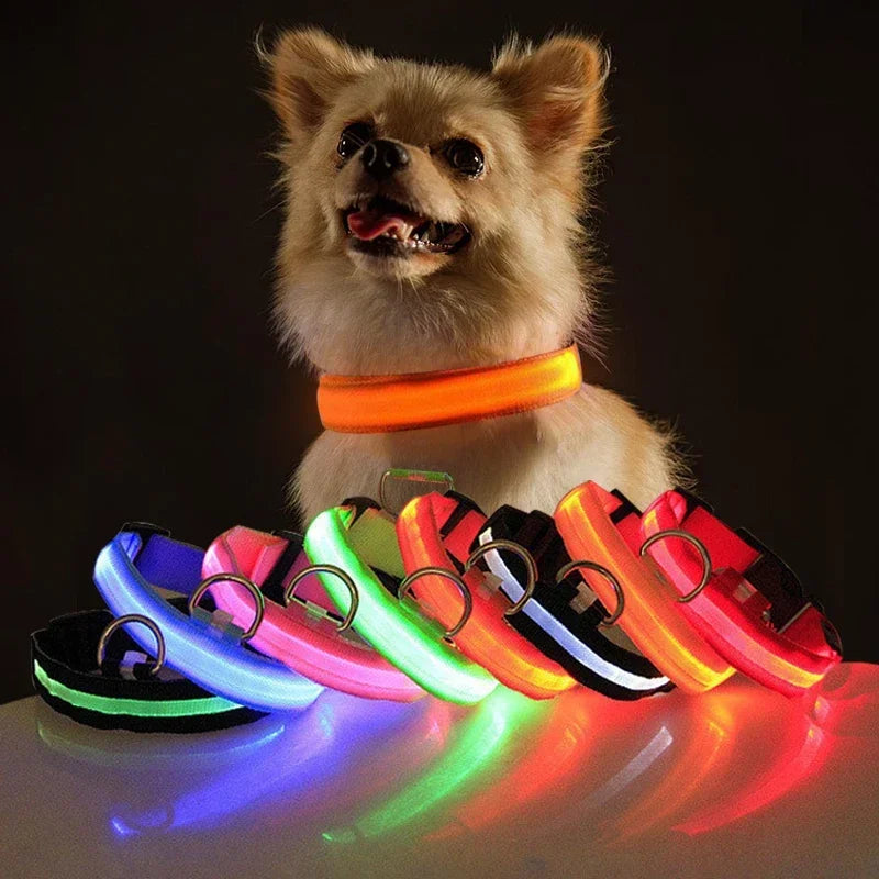 Night Light Dog Collar