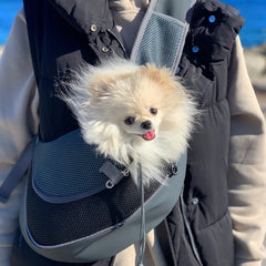 Mesh Puppy Sling Bag