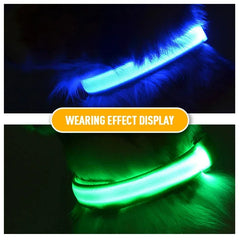 Night Light Dog Collar