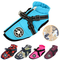 Winter Dog Jacket with Harness